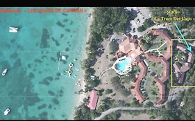 Studio La Trace des Caps mer des Caraïbes Sainte Anne Martinique